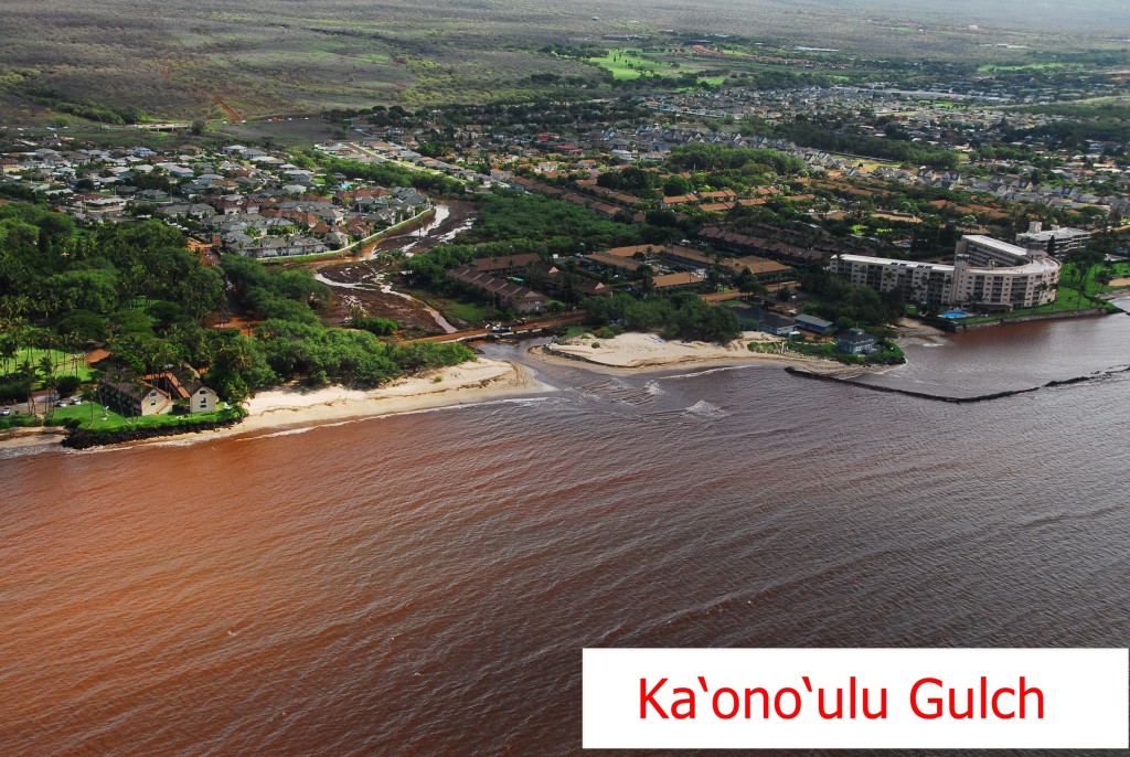 Ka‘ono‘ulu Gulch