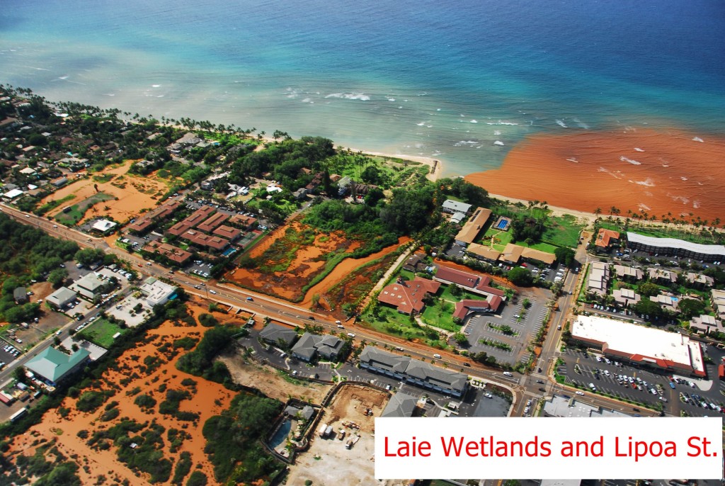 Laie Wetlands and Lipoa St.